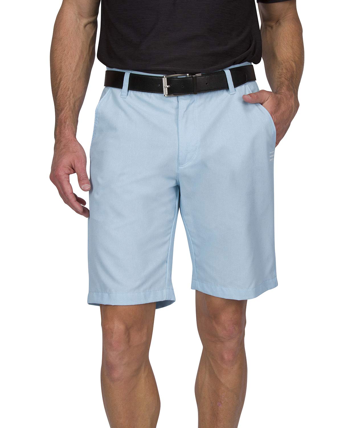 Men's Quick Dry Golf Shorts 10