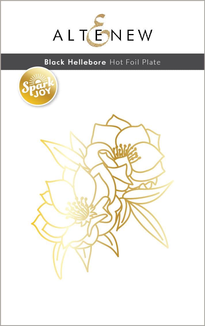 Black Hellebore Flowers - Premium Quality Fresh Cut Flowers for Home Decor, Wedding Bouquets & Garden Landscaping