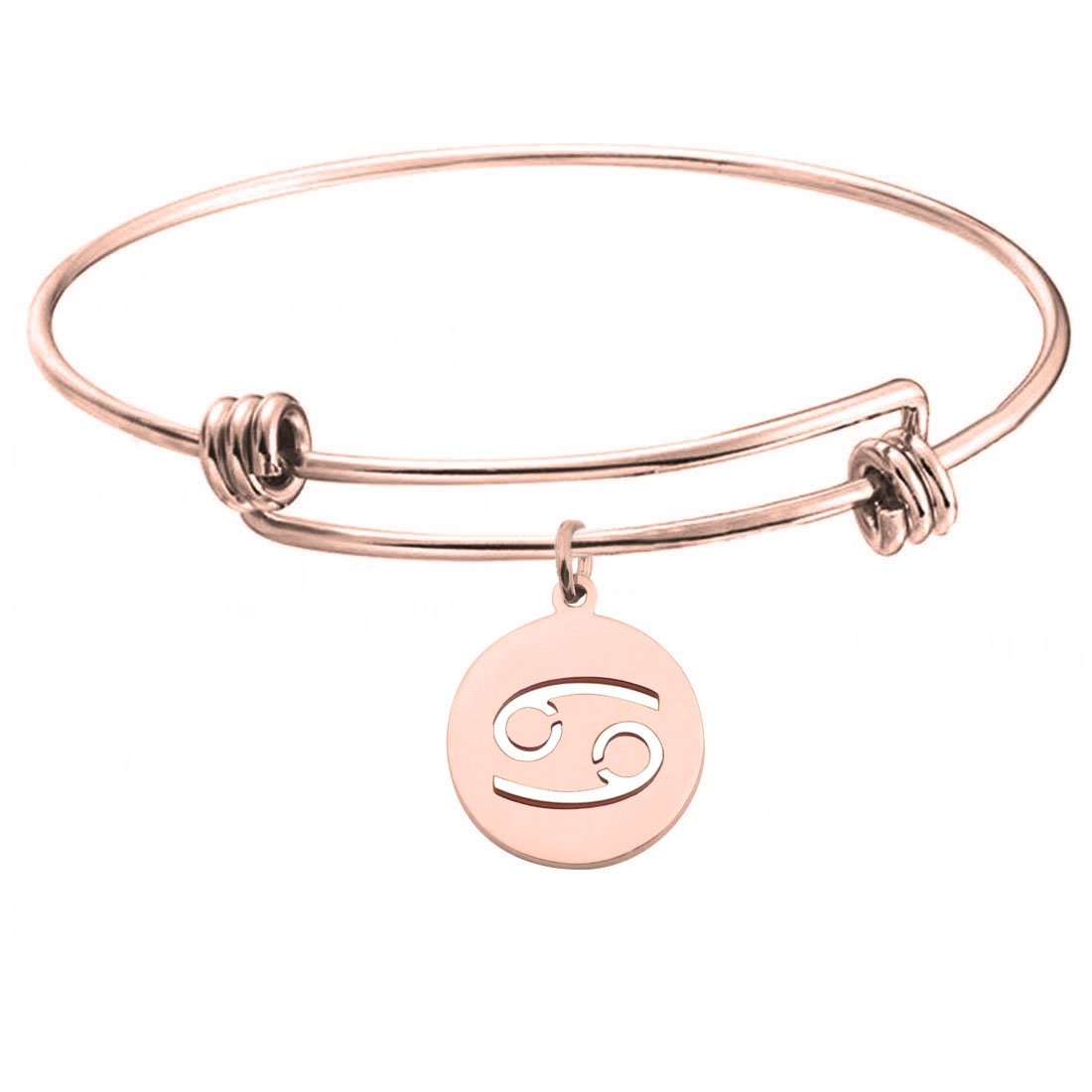 KUIYAI Zodiac Sign Bracelet for Women - Rose Gold Astrology Charm Bracelet, Birthday Gift for Her, Perfect for Daily Wear & Special Occasions