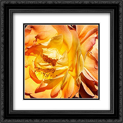 Alan Hausenflock 15x15 Black Ornate Framed Museum Art Print - Yellow Fire Rose Painting with Double Matting | Perfect for Living Room, Bedroom & Office Wall Decor