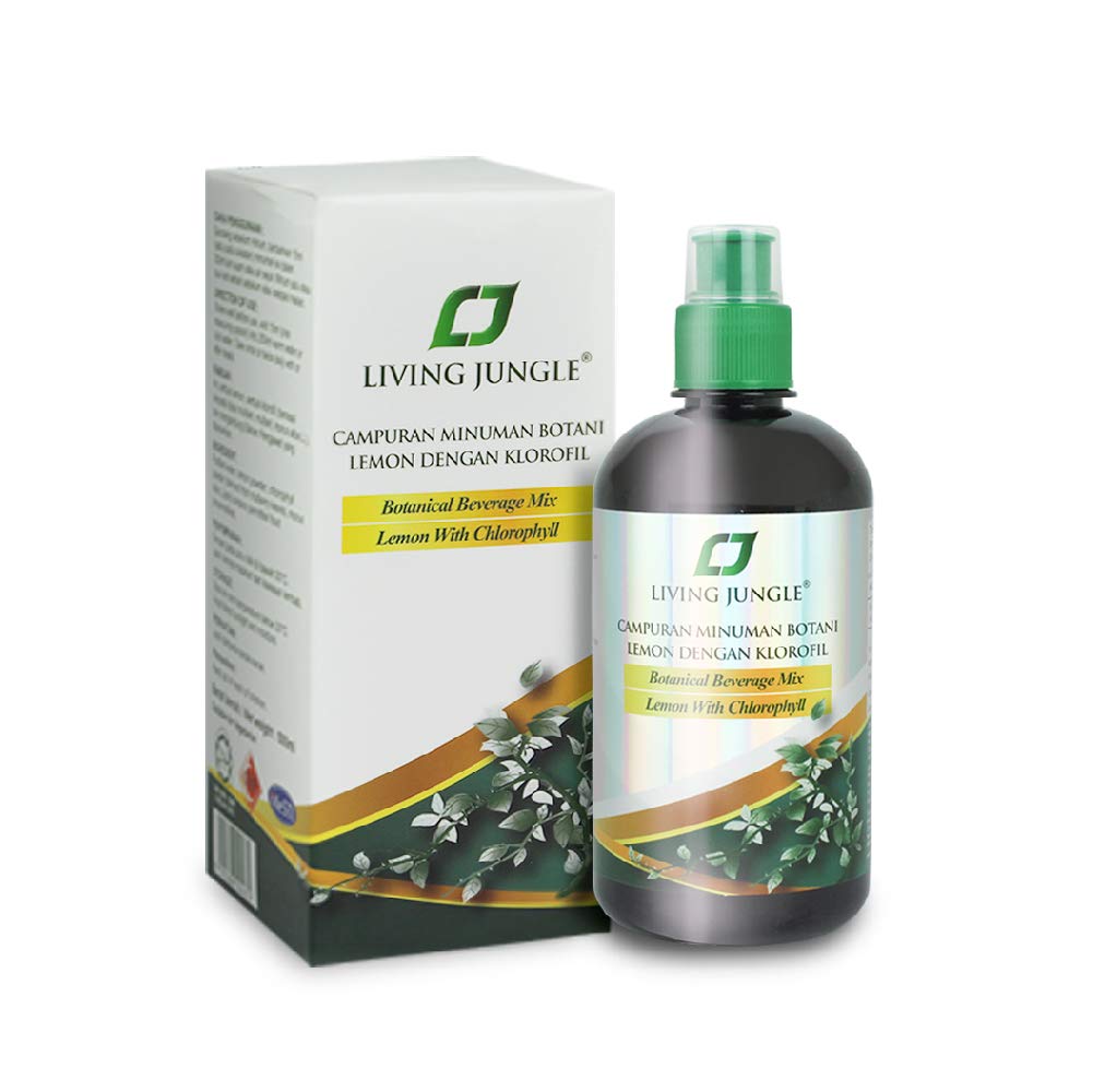 Liquid Chlorophyll 500ml - 3 Bottles Pack (Expires June 2022) | Natural Detox & Energy Booster for Daily Wellness, Skin Care & Digestion Support
