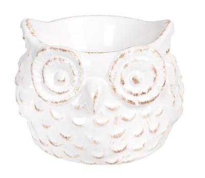 Bridgewater OWL Electric Fragrance Warmer - Aromatherapy Diffuser for Home, Office & Spa | Perfect for Relaxation & Stress Relief