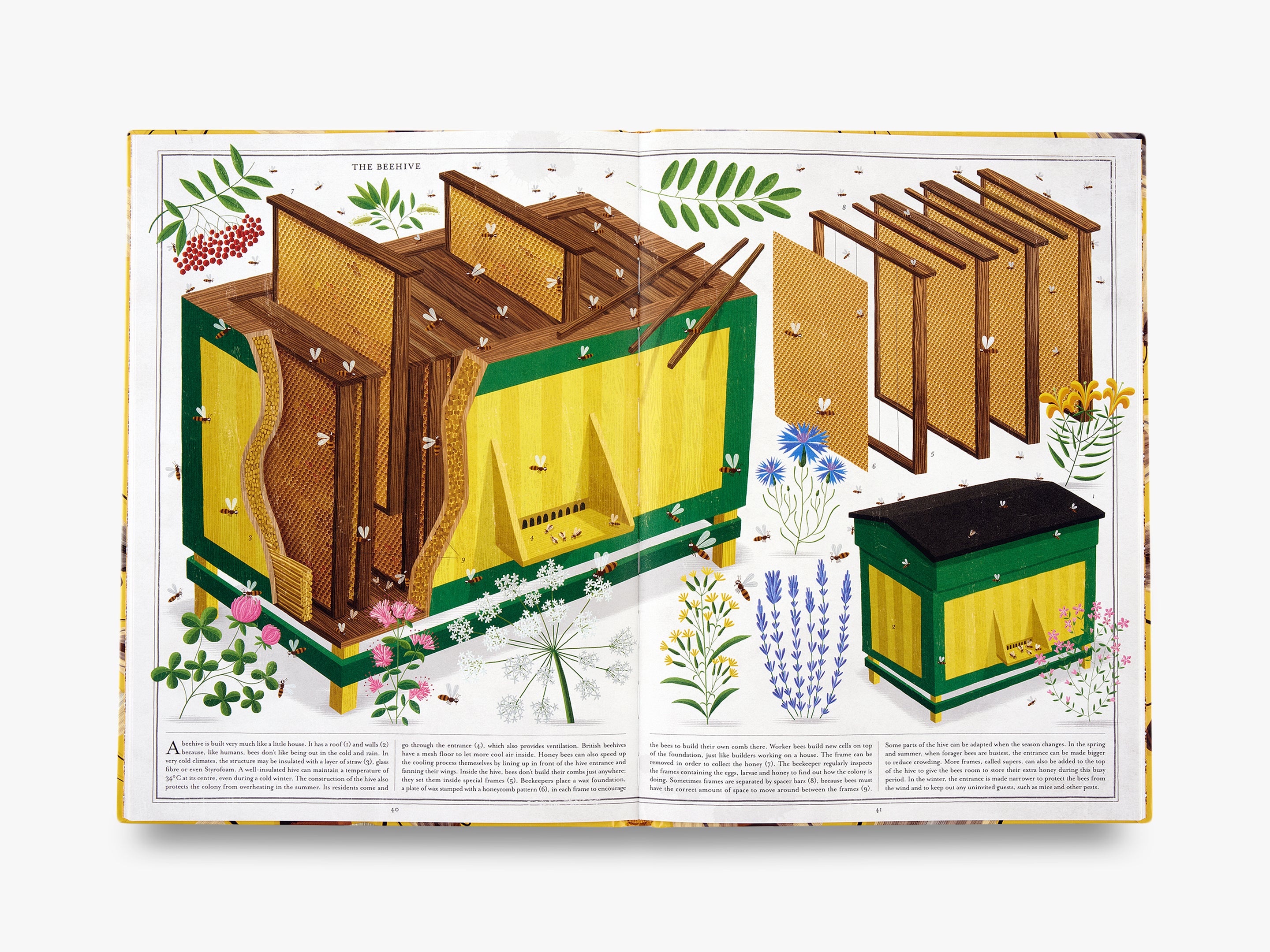 The Book of Bees: A Complete Guide to Beekeeping, Honey Production & Pollination | Perfect for Beginners, Gardeners & Nature Lovers