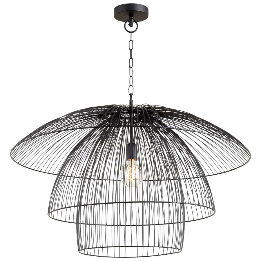Cyan Design 10796 Matte Black Canopy Pendant Light Fixture - Modern Ceiling Lighting for Dining Room, Bedroom, or Living Room