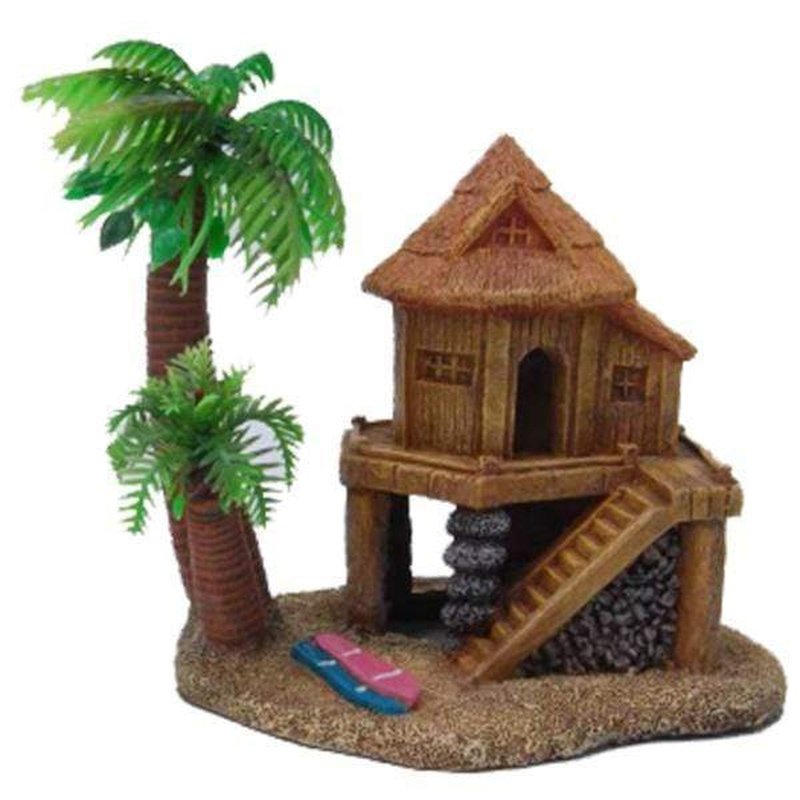 Aquatopia Hermit Crab Round House - Natural Shell Habitat for Pet Hermit Crabs | Perfect for Terrariums & Aquariums | Safe & Comfortable Home for Small Crabs