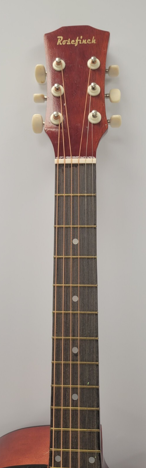 AGI16 Rosefinch Guitar - Professional Acoustic Electric Guitar for Beginners & Intermediate Players - Perfect for Home Practice, Live Performances & Studio Recording