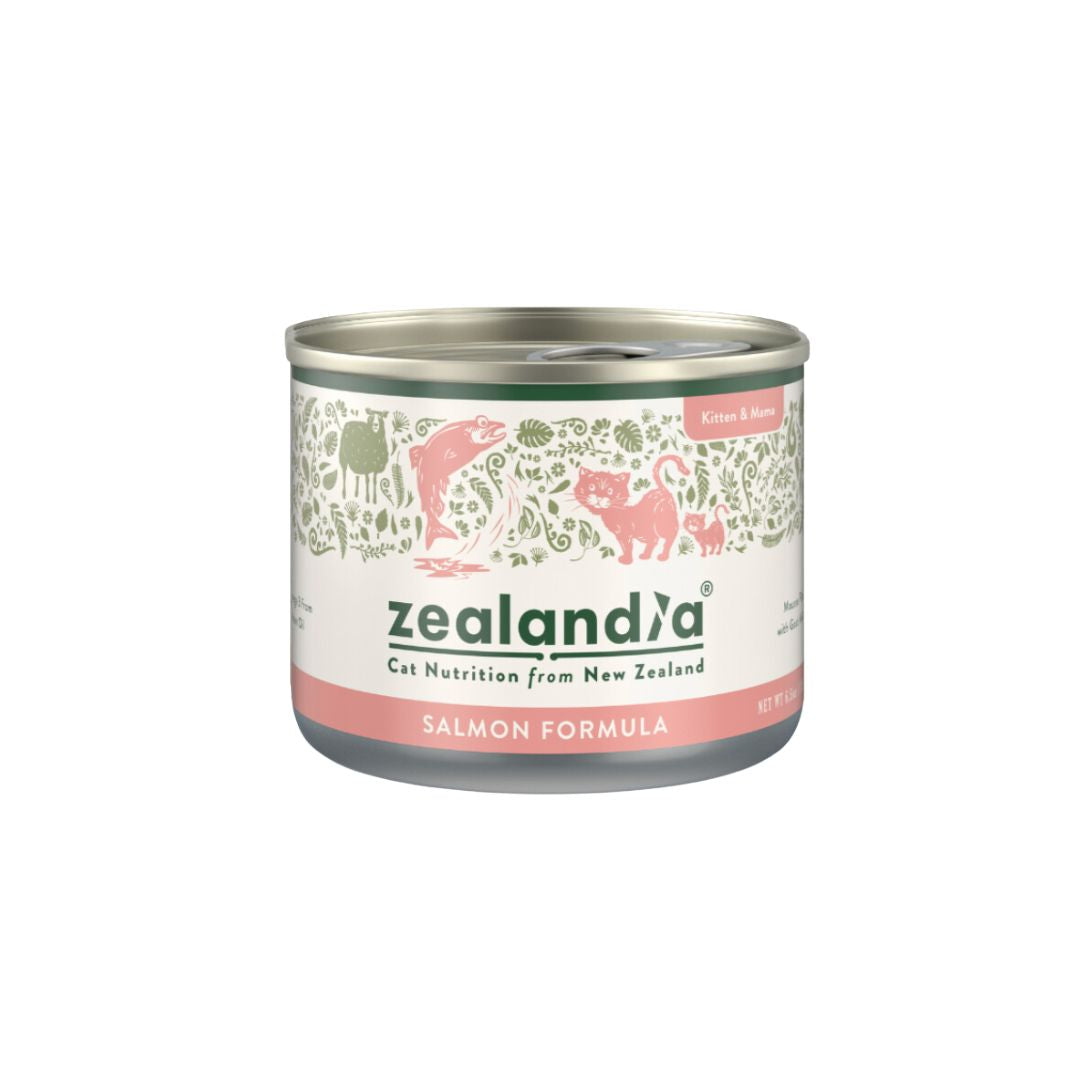 Premium Grain-Free Salmon Mousse Pate Wet Cat Food for Kittens & Nursing Mothers - 170g | High-Protein, Natural Ingredients for Healthy Growth & Lactation Support | Ideal for Picky Eaters & Postpartum Nutrition