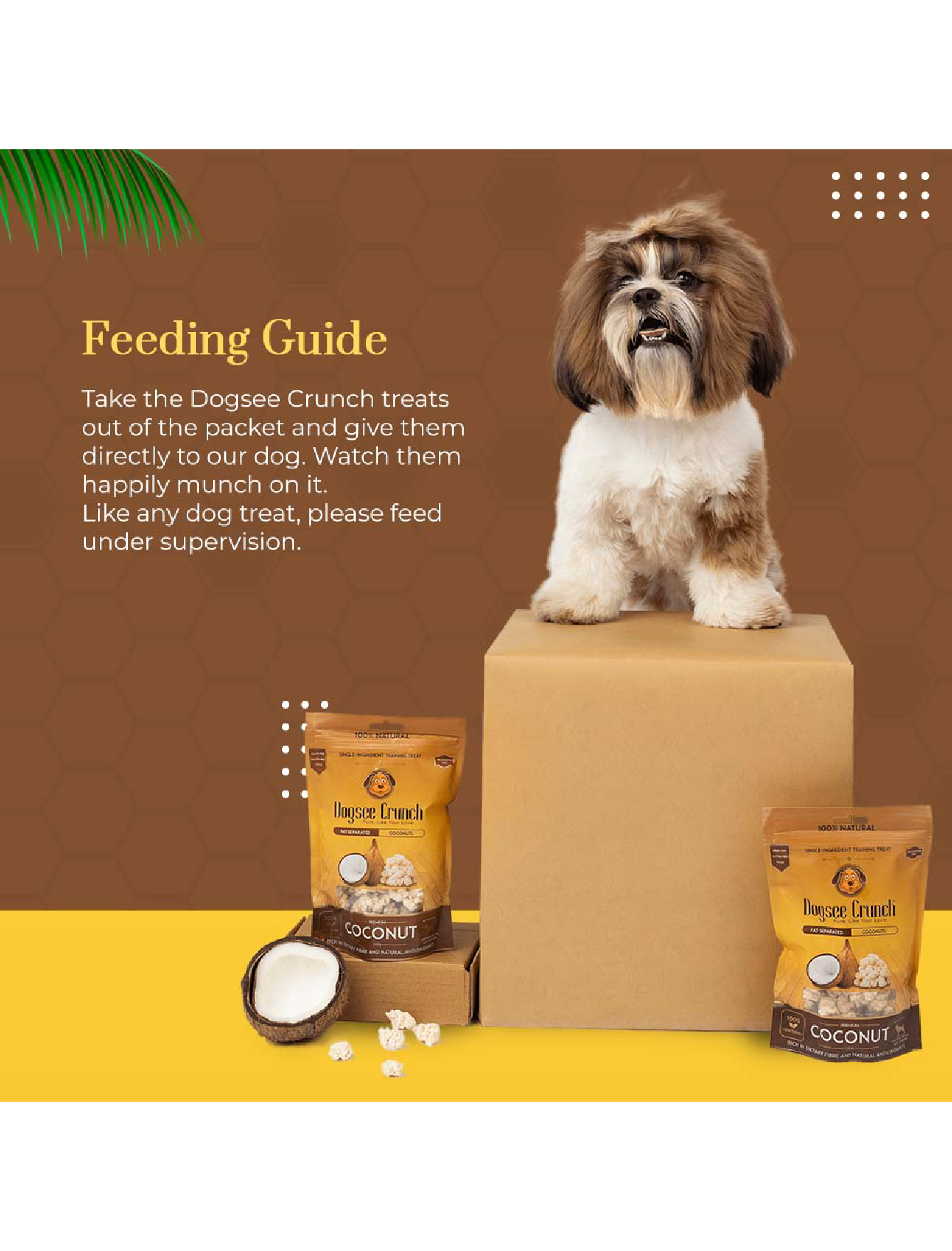 Freeze Dried Coconut Dog Treats by Dogsee Crunch - 30g, All-Natural & Healthy Snacks for Training, Rewards & Daily Chewing