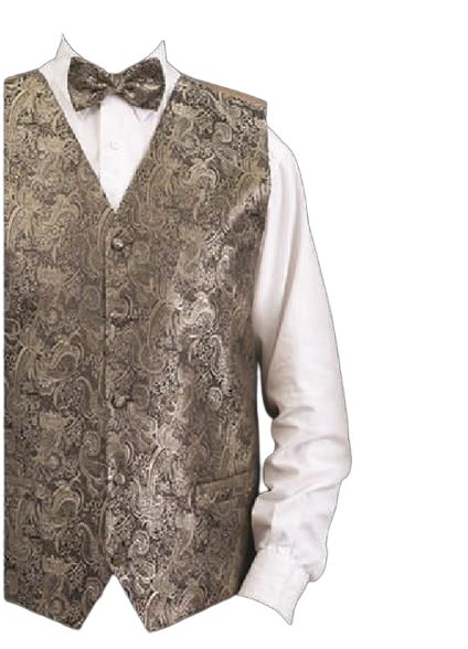 DANIEL ELLISSA Metallic Thread Paisley Vest Set VS809 in Gold - Stylish Women's Fashion for Parties, Weddings & Special Occasions