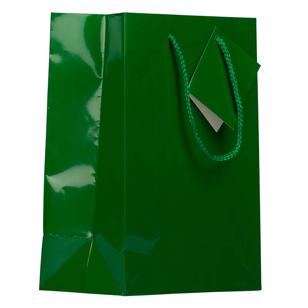 Premium Glossy Green Gift Bags with Rope Handles - 8