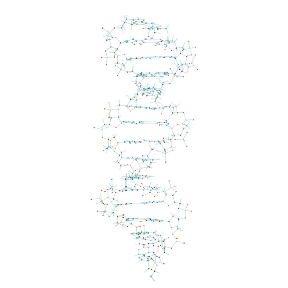 High-Quality DNA Model Kit with Colorful Tubes | Science Classroom Demonstration & STEM Learning Tool for Students