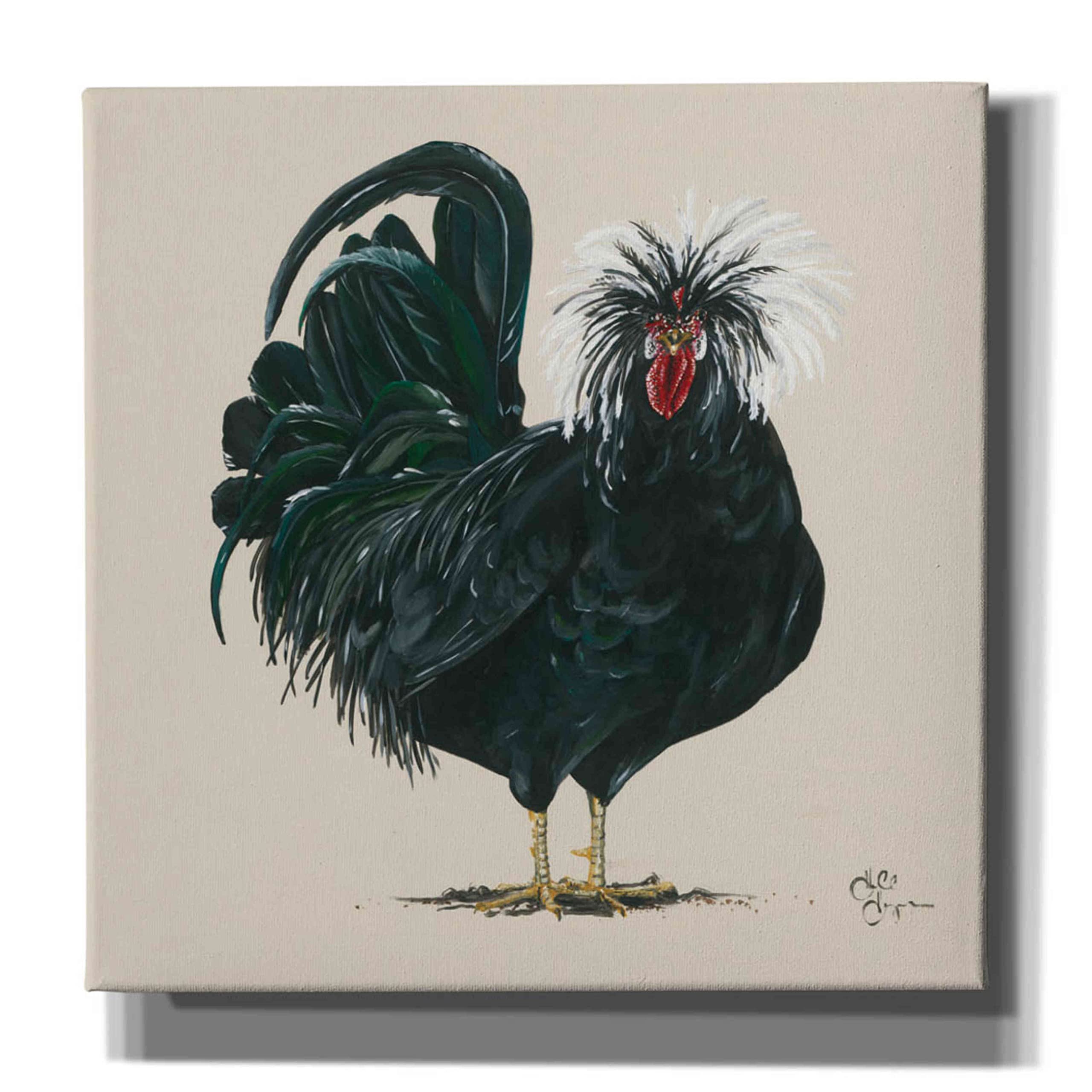 Hollihocks Art Epic Graffiti 'Chicken' Giclee Canvas Wall Art - 12x12 Inches Modern Home Decor for Living Room, Bedroom & Office