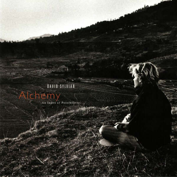 David Sylvian – Alchemy: An Index Of Possibilities Vinyl LP | Limited Edition Jazz Rock Album | Perfect for Music Collectors & Audiophiles