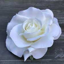 Elegant White Rose Hair Clips for Women - Pack of 1 | Perfect for Weddings, Parties & Everyday Style