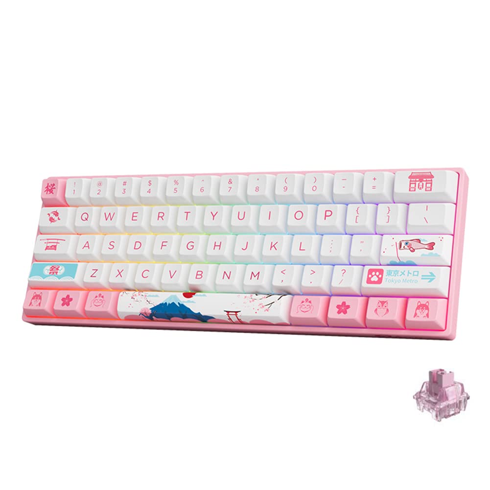 Akko 3061S RGB Mechanical Gaming Keyboard - 60% Compact, Hot-Swap, PBT Keycaps for PC Gaming (Jelly Pink Switch)
