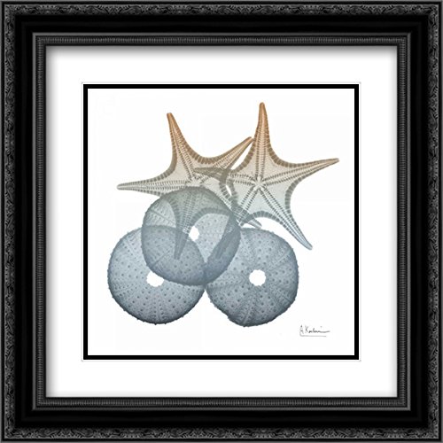 Albert Koetsier 15x15 Inch Black Ornate Framed Double Matted Museum Art Print - Earthy Hues Sea Urchin and Starfish Painting | Coastal Home Decor, Beach House Wall Art, Living Room & Office Decoration
