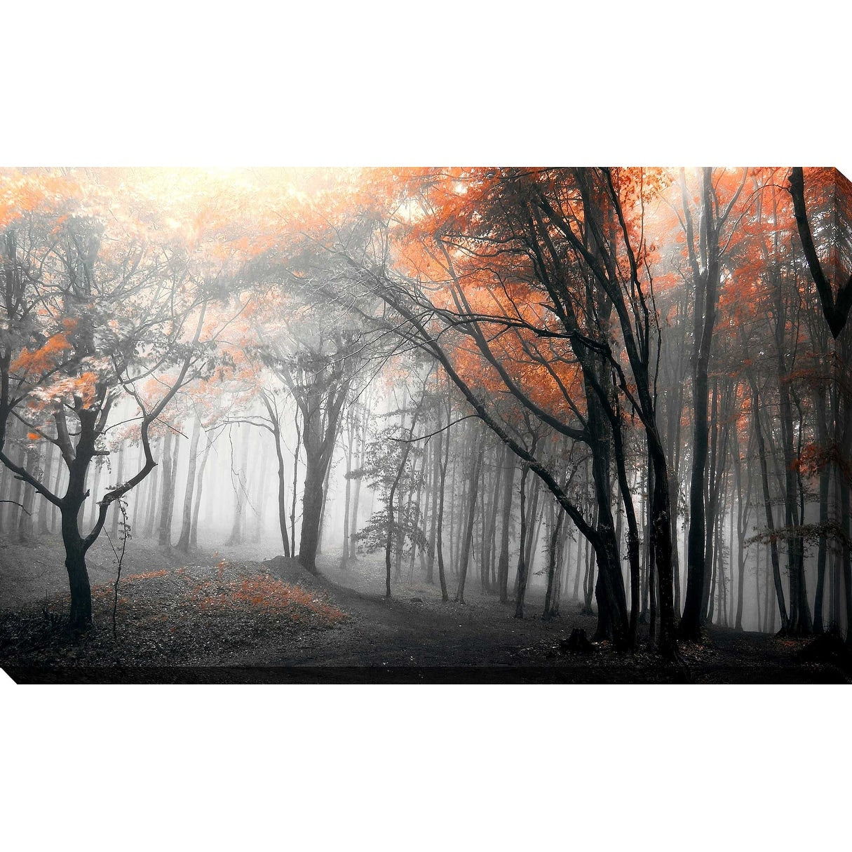 Autumn Woods Landscape Canvas Print by PhotoINC Studio - Perfect for Living Room, Bedroom & Office Wall Decor
