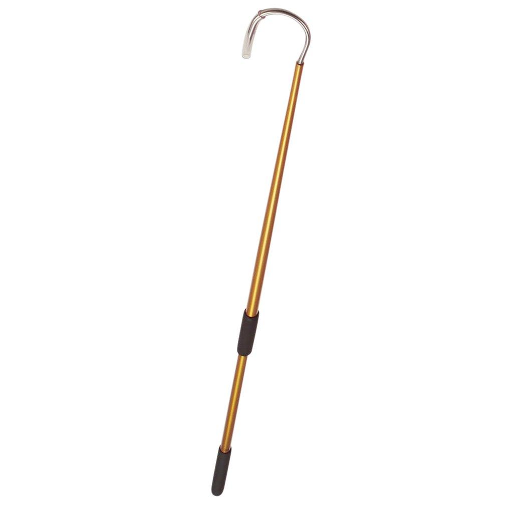 AFTCO Aluminum Fishing Gaff Hook - Lightweight & Durable Saltwater Fishing Tool for Offshore & Deep Sea Fishing - Perfect for Catching Tuna, Marlin & Big Game Fish