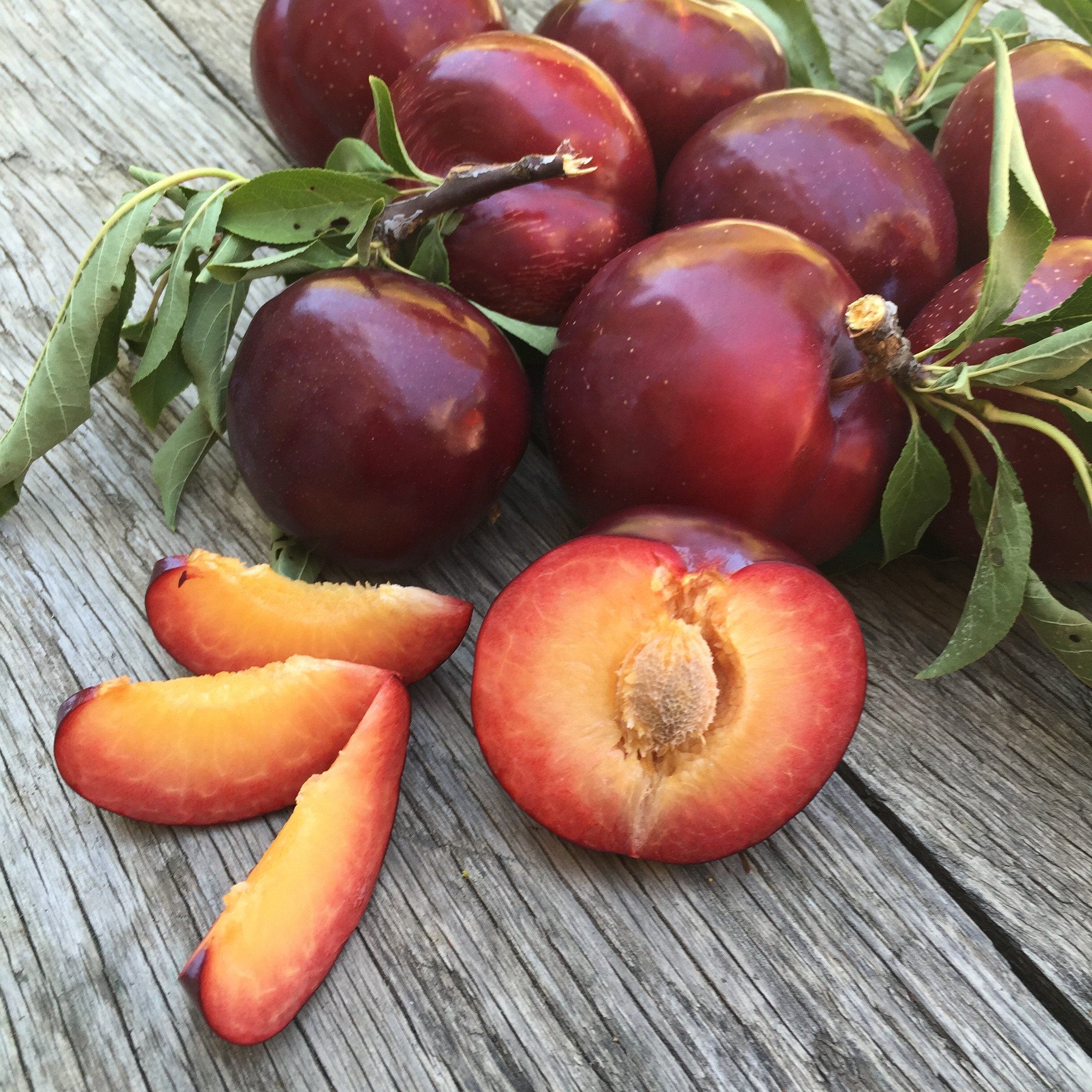 2025 Flavor King Fiesta Organic Fruit Club Subscription Box - 3 Seasonal Shipments of Fresh, Healthy Snacks for Home, Office & Gifts