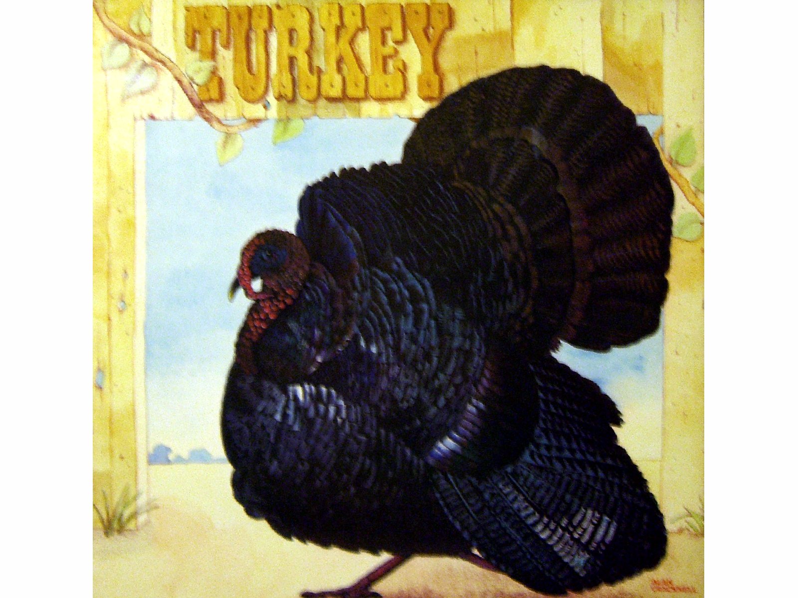 Fresh Whole Turkey for Thanksgiving Dinner - Premium Grade A Turkey for Roasting, Grilling & Holiday Feasts - Perfect for Family Gatherings & Special Occasions