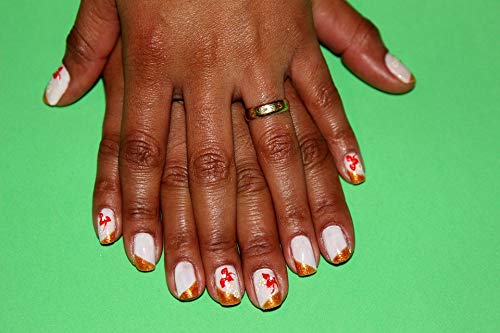 Artistic Nails Fashion Decorated Nails - 20x30 Inch Vibrant Laminated Poster for Wall Decor | Perfect for Salon, Bedroom & Living Room Decoration