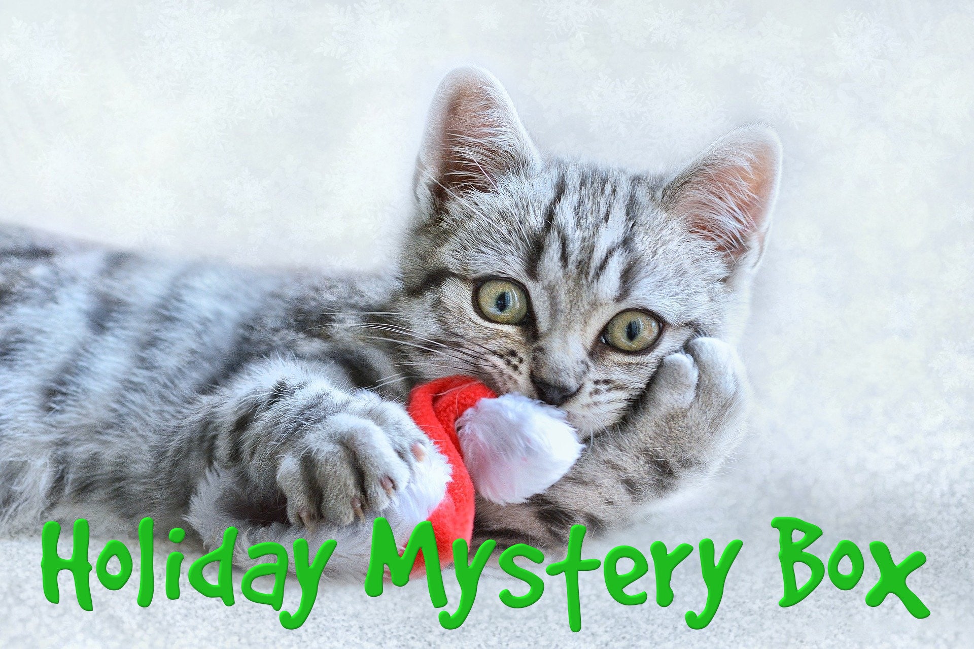 Christmas Holiday Mystery Box for Cats - Fun Surprise Gift Box with Cat Toys & Treats - Perfect for Holiday Gifting & Playtime