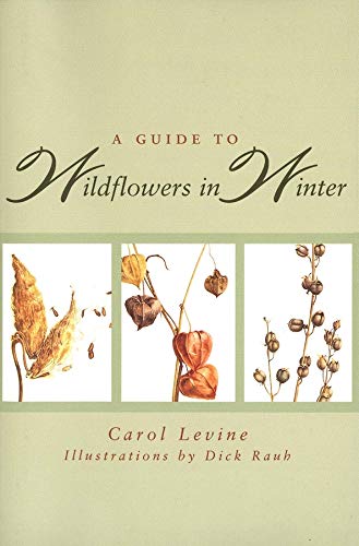 Wildflowers in Winter Guide: Herbaceous Plants of Northeastern North America - Perfect for Nature Lovers, Hikers & Winter Botany Enthusiasts