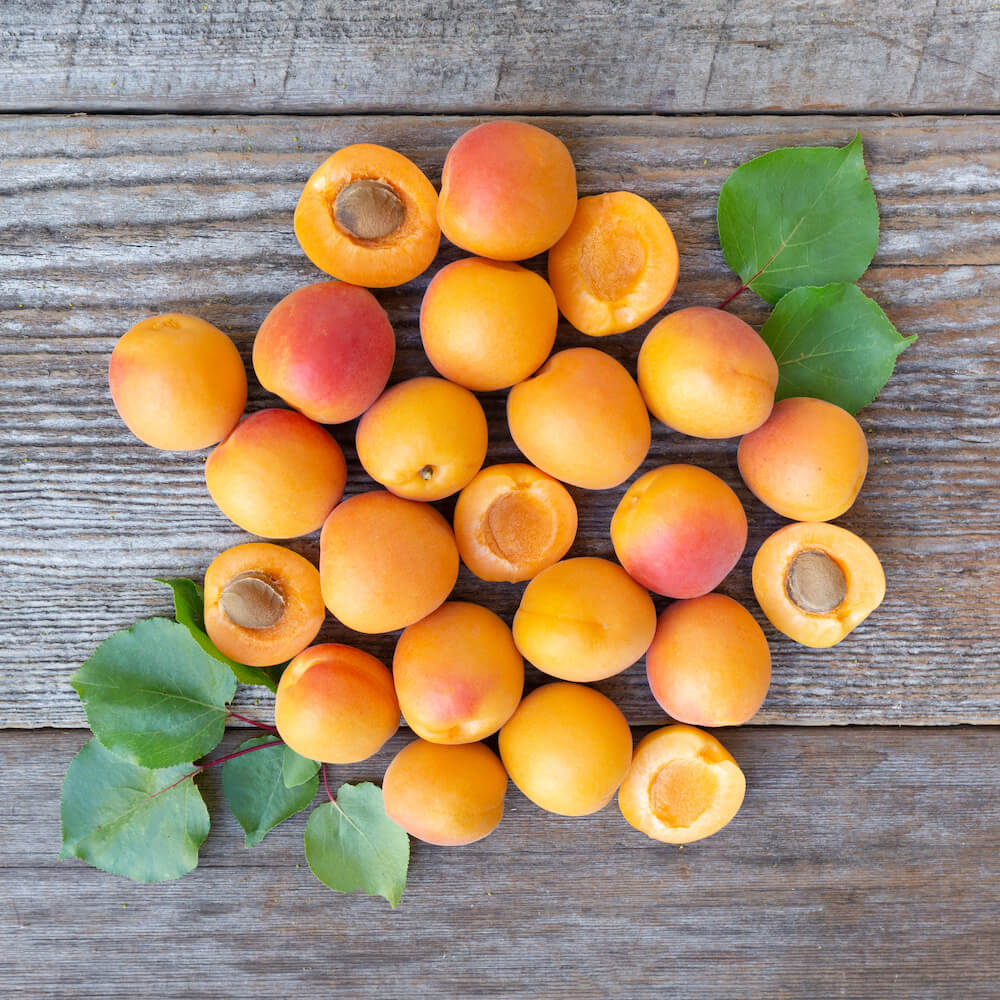 Organic Goshen Gold Apricots - Sweet Dried Fruit Snacks | Pre-Order Now for Spring 2025 Delivery | Perfect for Healthy Snacking, Baking & Gift Baskets