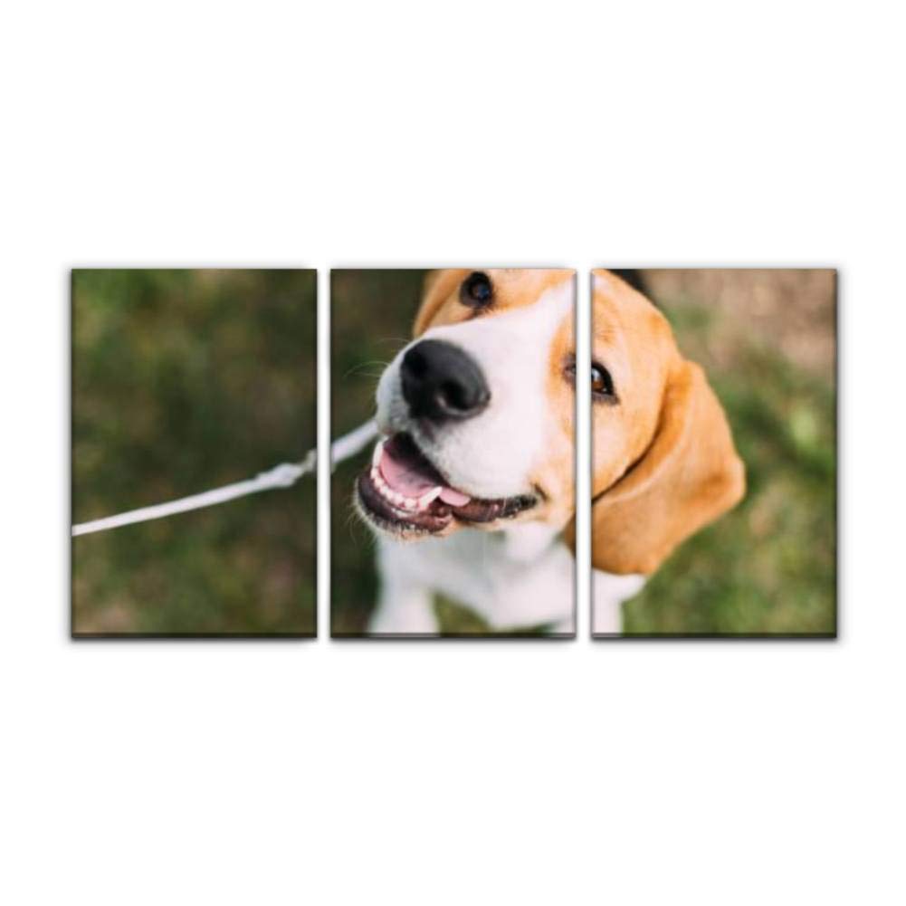 Modern Canvas Wall Art - English Beagle Puppy Sitting on Green Grass, Printed Oil Painting, Home Office Bedroom Decor, Framed Landscape Artwork (16x24 Inches, Set of 3) - Perfect for Living Room, Nursery, or Pet Lover's Gift