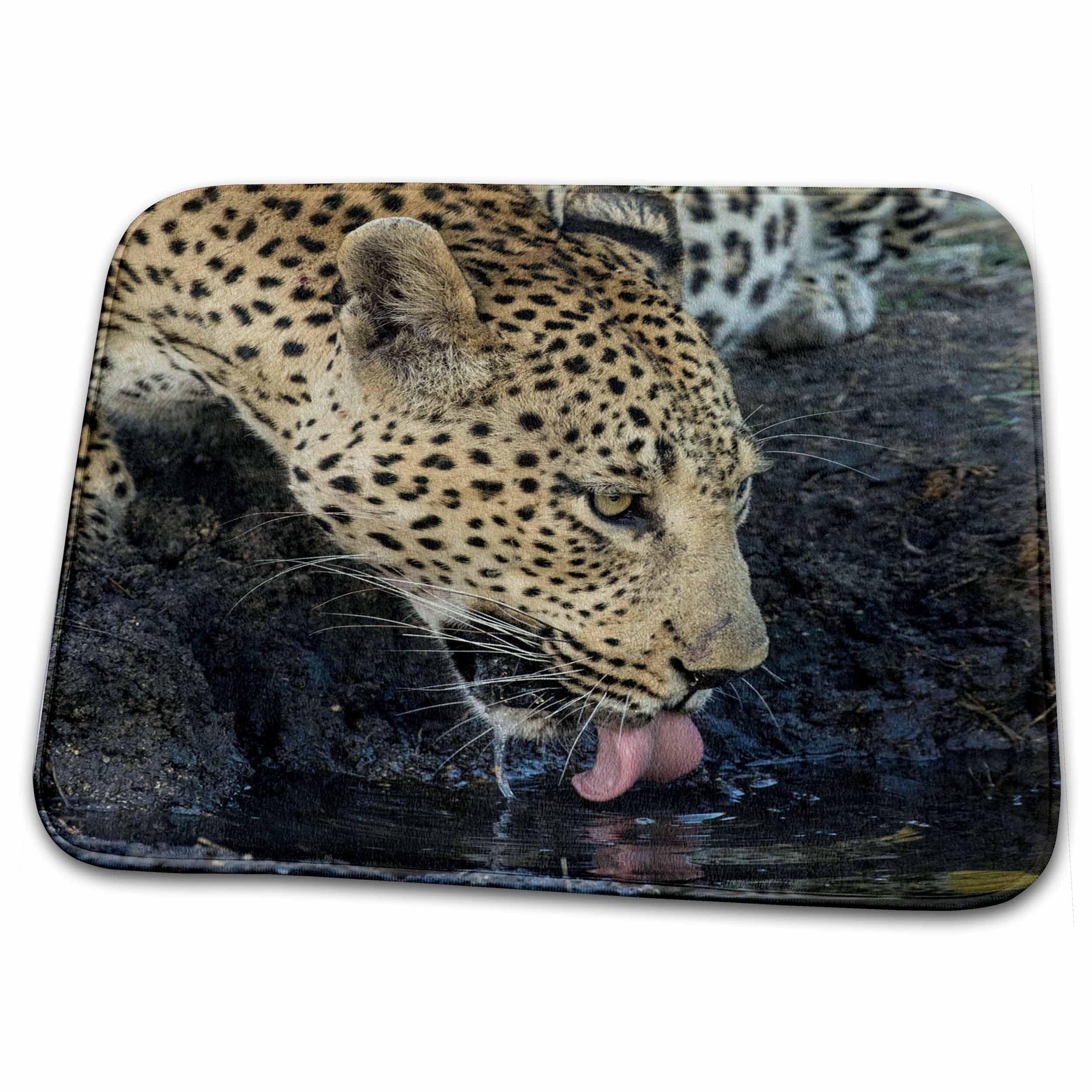 3dRose South Africa Sabi Sabi Private Game Reserve Bathroom Rug Mat - Non-Slip Soft Absorbent Bath Mat for Bathroom Decor (rug-247211-1) - Perfect for Home, Hotel, and Spa Use