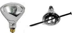 Technical Precision 125R40/1-Tuff Replacement Light Bulb - Long-Lasting Battery & Bulb Substitute for Flashlights, Camping Gear & Emergency Kits