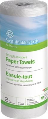 Staples Sustainable Earth 2-Ply Paper Towel Rolls - 15 Rolls per Case | Eco-Friendly, Strong & Absorbent for Kitchen, Office & Household Cleaning