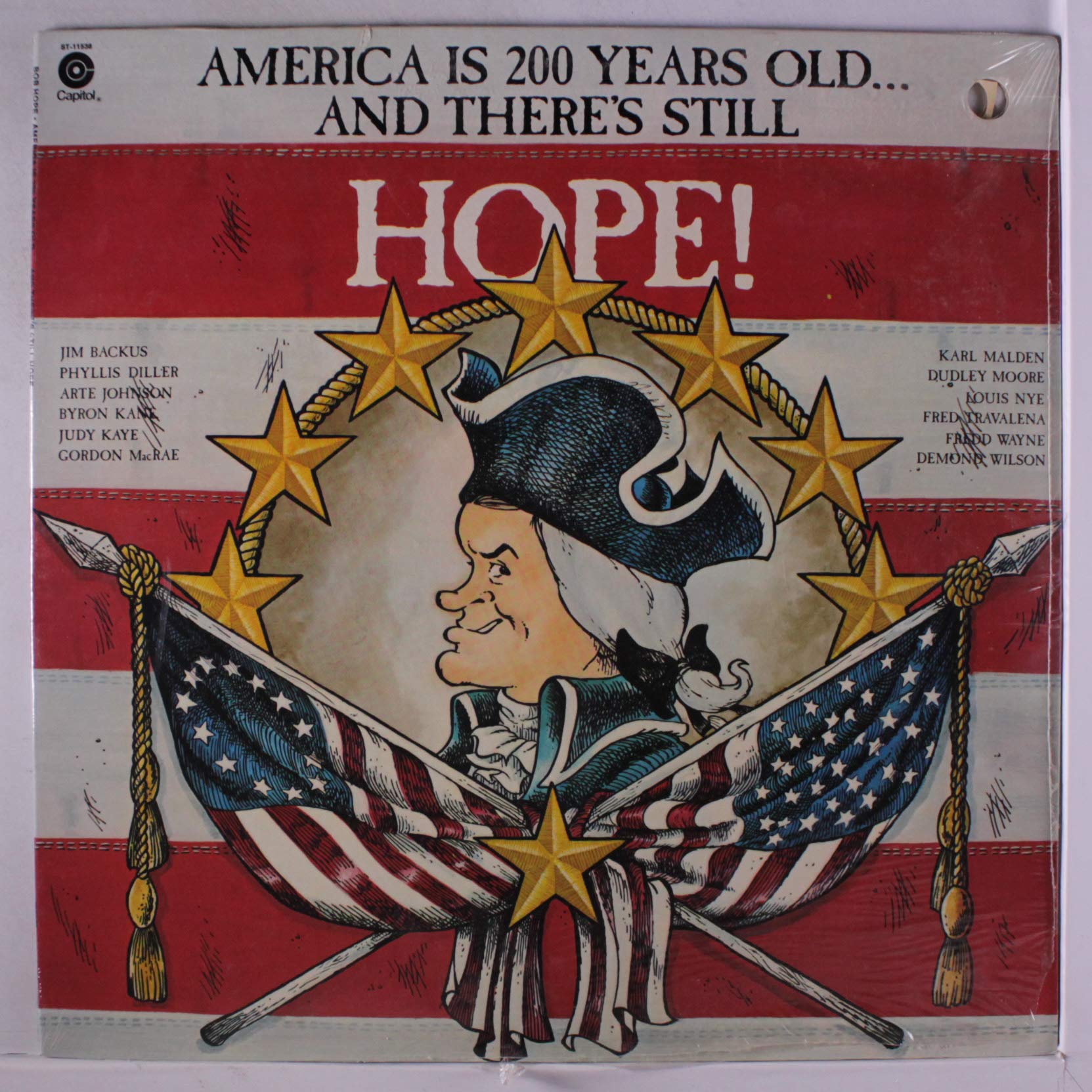 America Is 200 Years Old...And There's Still Hope - Patriotic Home Decor for Independence Day & Historical Celebrations