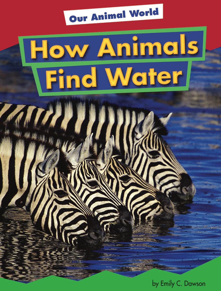 How Animals Find Water in the Wild - Survival Guide for Kids & Nature Lovers | Perfect for Homeschooling & Outdoor Adventures