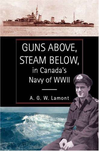 Guns Above, Steam Below - High-Powered Airsoft Guns & Steam Cleaning Equipment for Outdoor Adventures & Home Deep Cleaning