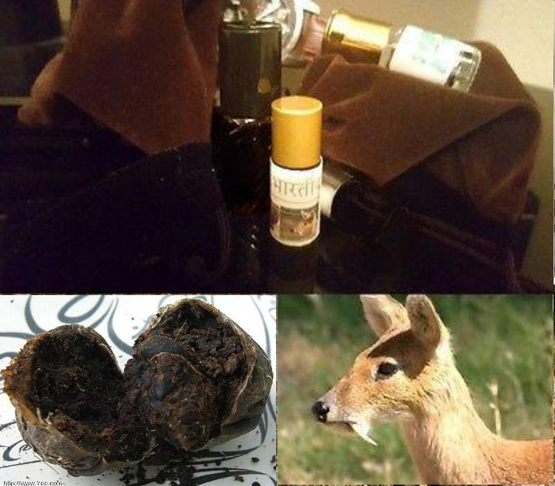 Authentic Wild Indian Kasturi Real Black Deer Musk Nafa Pheromones Attar Oil - 3ML (Premium Size) for Aromatherapy, Meditation & Spiritual Healing