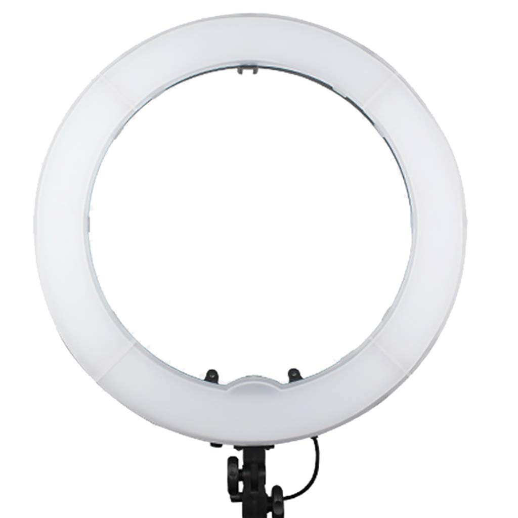 24 Inch Ring Light with Stand & Phone Holder - 55W 5500K LED Photography Light for Makeup, Live Streaming, YouTube Videos (Perfect for Home Studio, TikTok Content Creation & Professional Photography)