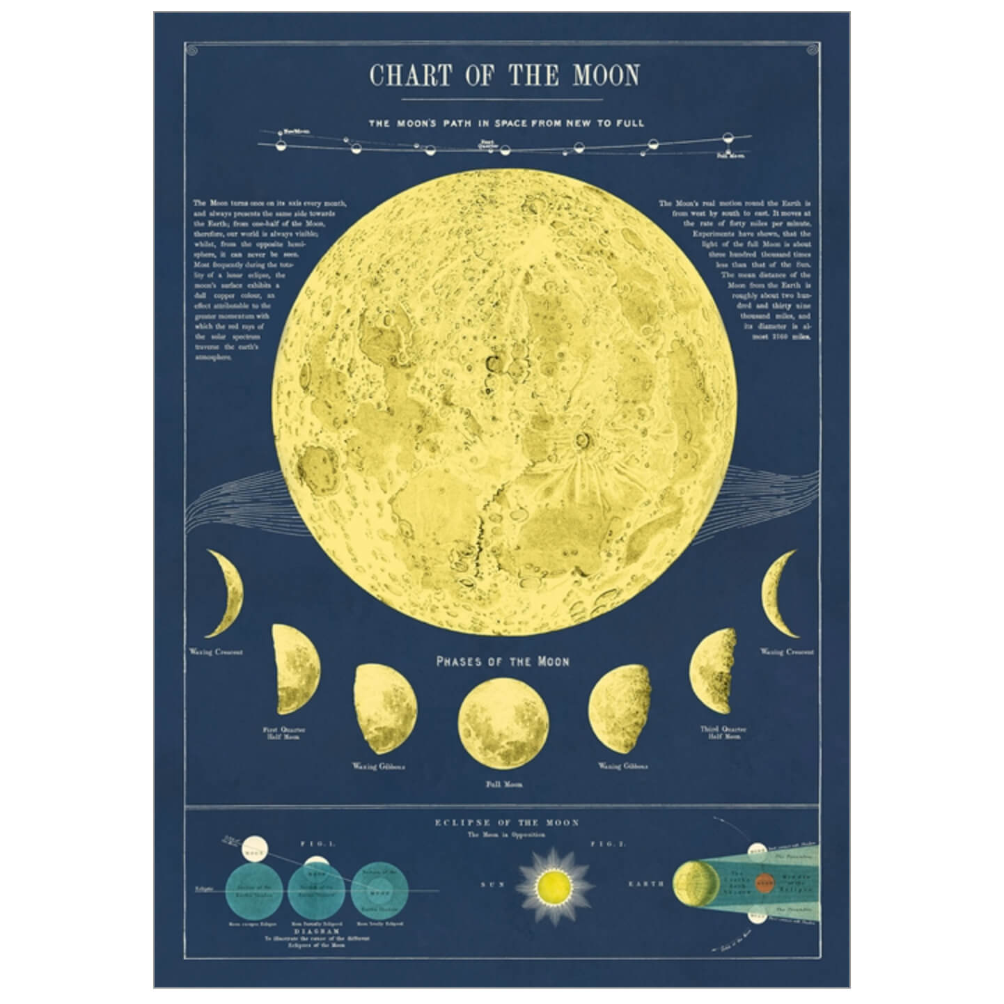 Moon Phase Chart Wrap - Stylish Lunar Cycle Scarf for Astronomy Enthusiasts & Boho Fashion | Perfect for Stargazing, Yoga, and Festival Outfits