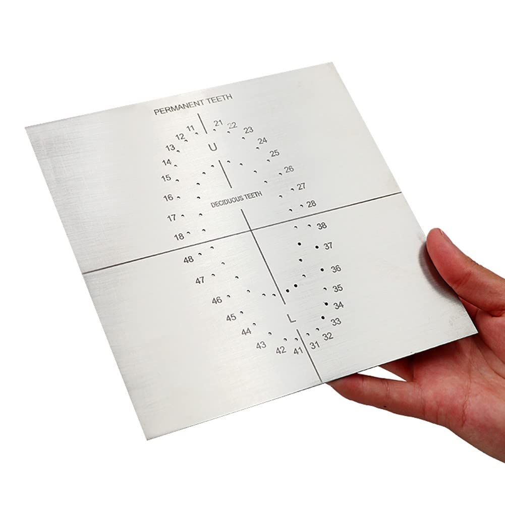 KUUY Stainless Steel Rubber Dam Template with Measurement Scale - Dental Positioning Tool (20pcs) for Precise Dental Procedures & Orthodontic Work