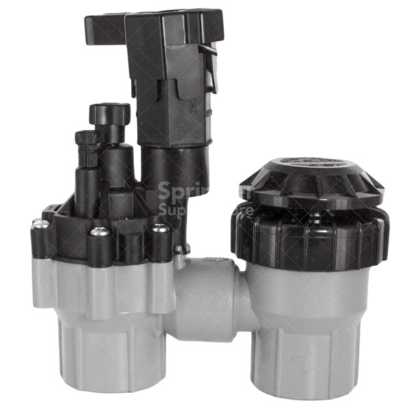 Rain Bird 075ASVF 3/4 Inch Anti-Siphon Valve - Durable Brass Irrigation Valve for Lawn, Garden & Sprinkler Systems