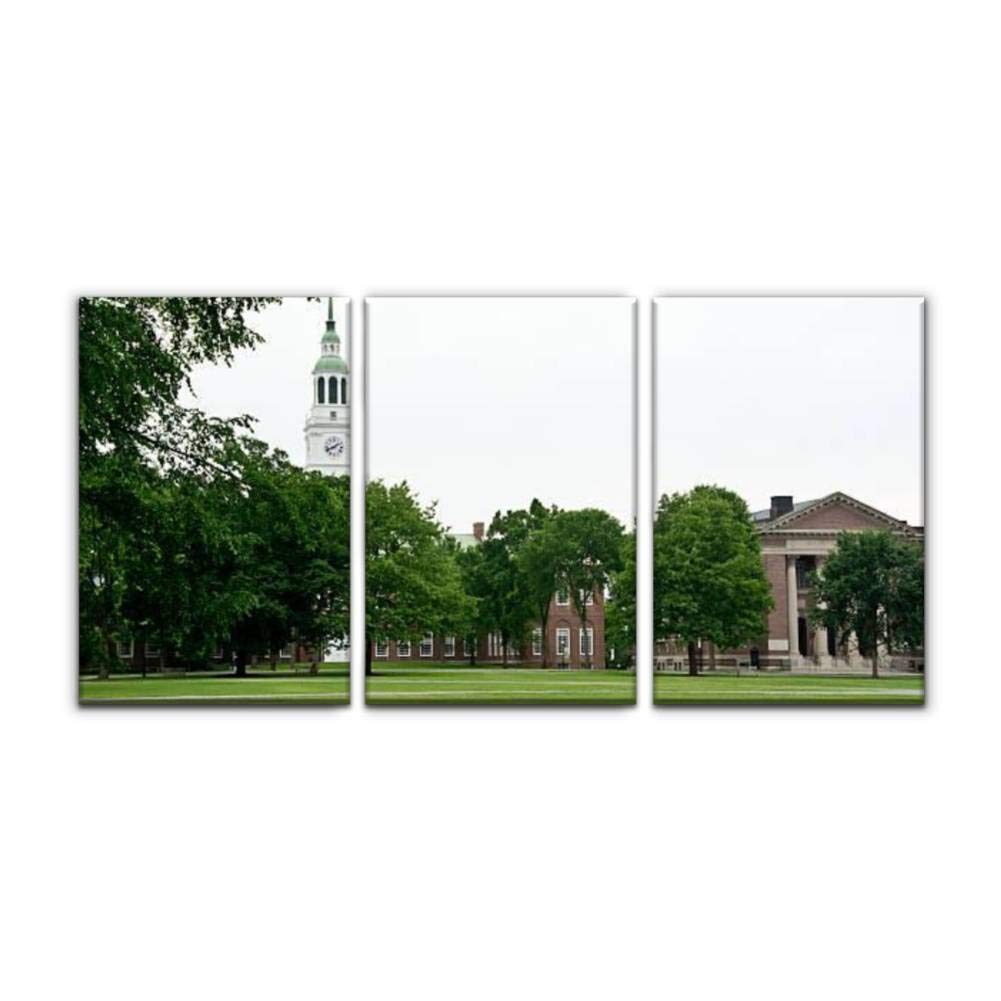 Gracelapin Modern Canvas Wall Art - Dartmouth College Green Ivy Landscape Oil Painting Print (16