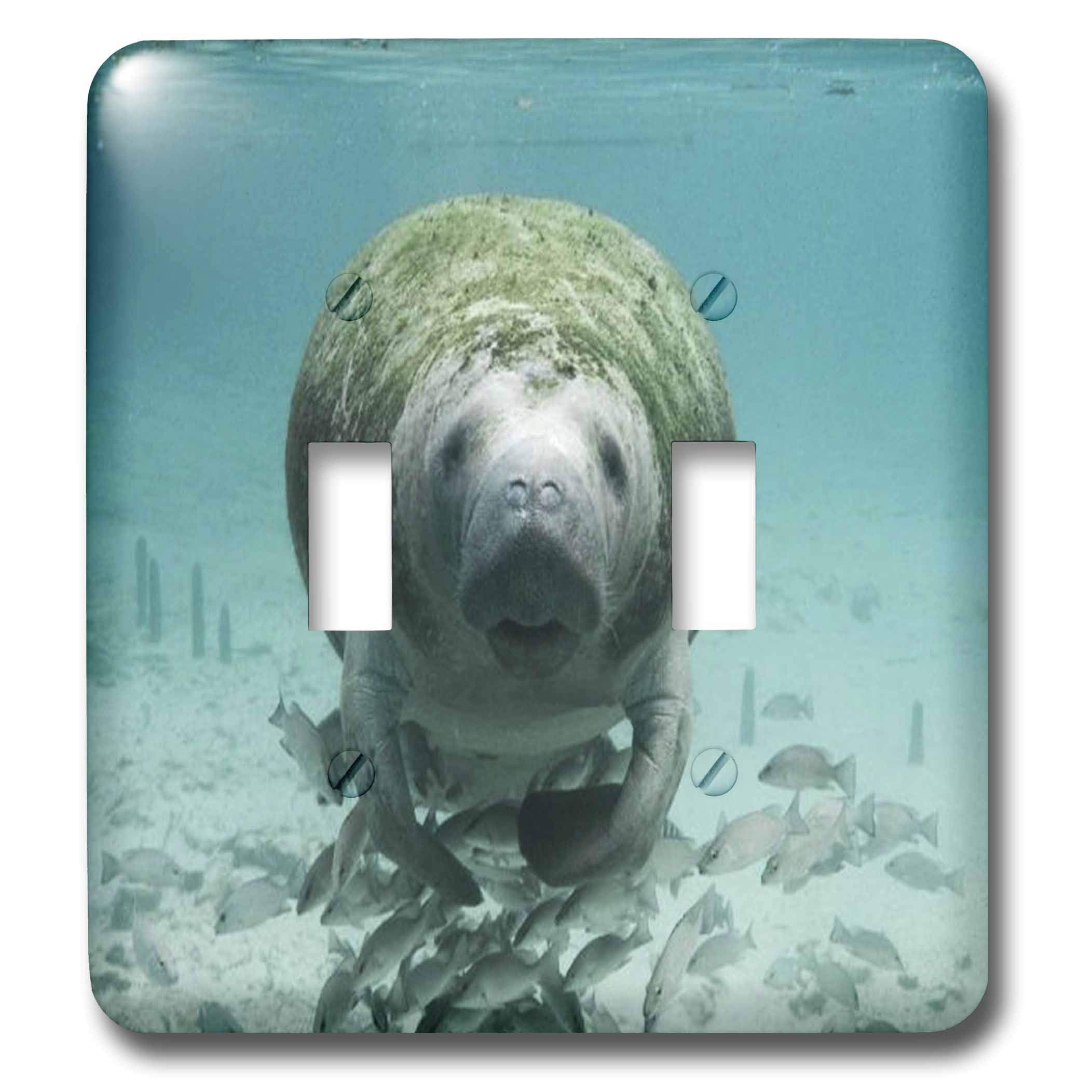 3D Rose Manatee and Fishes Underwater Double Toggle Switch - Decorative Wall Plate Cover for Home, Office, or Kids Room