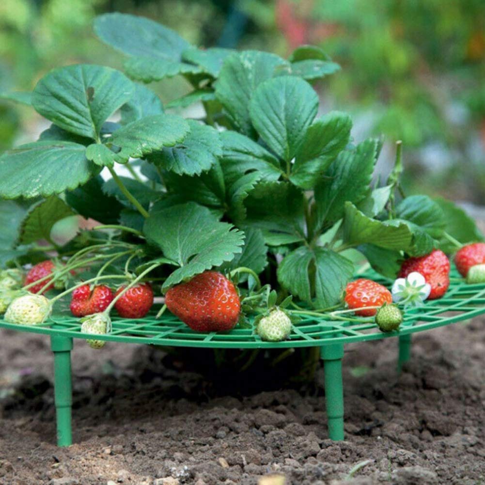 Durable Plastic Plant Climbing Net for Strawberries & Vegetables - Balcony Gardening Support