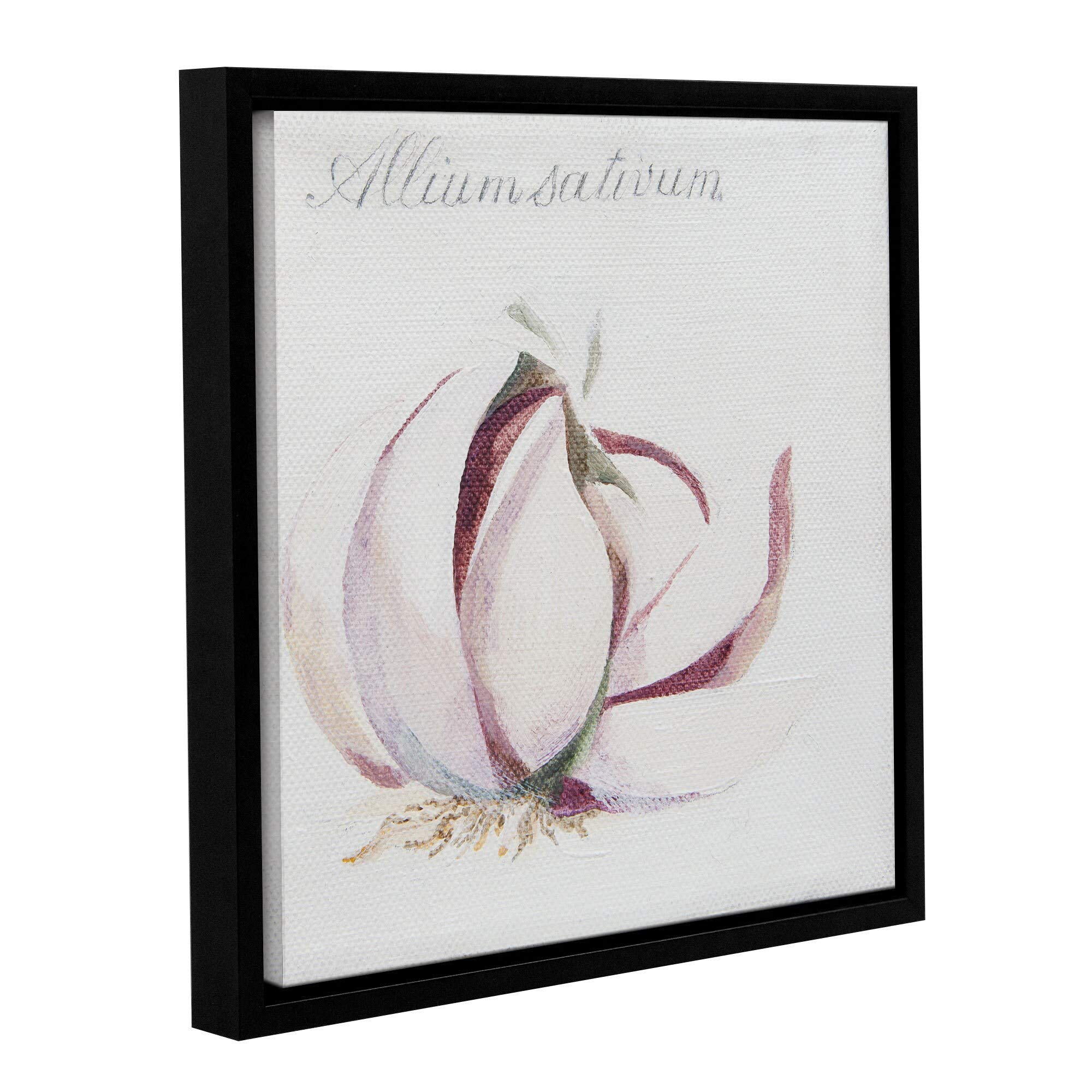 ArtWall Jennifer Abbott's 'Garlic Cloves' Gallery Wrapped Floater-Framed Canvas 36x36 - Premium Kitchen Wall Art for Modern Home Decor & Restaurant Interior Design
