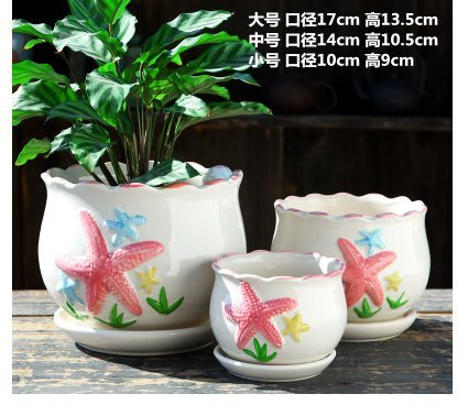 Modern Ceramic Flower Planter Pots with Saucers - Set of 3 Small Starfish Design Planters for Home & Garden Decor | Indoor Succulent, Herb, or Outdoor Patio Planting