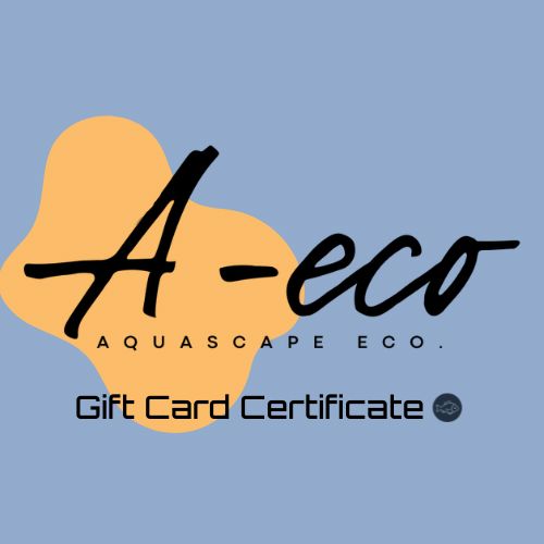 Eco-Friendly Free Gift Certificate Code - Digital Delivery via Email | Perfect for Gifting, Rewards & Special Occasions