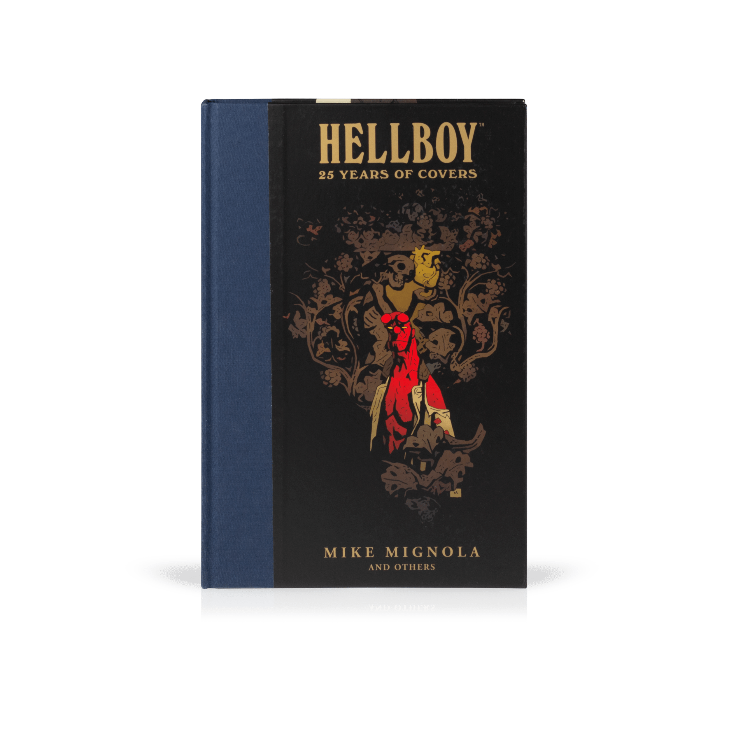 Hellboy: 25 Years of Cover Art - Limited Edition Comic Book Collection for Fans & Collectors | Perfect for Display, Gifts & Comic Conventions