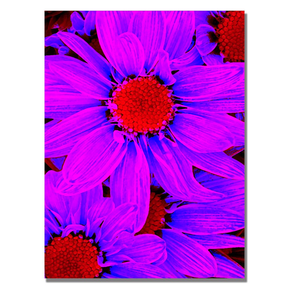Amy Vangsgard Pop Daisies Canvas Art - 35x47 Inch Floral Wall Decor for Living Room, Bedroom & Office | Modern Botanical Painting for Home & Office Decor
