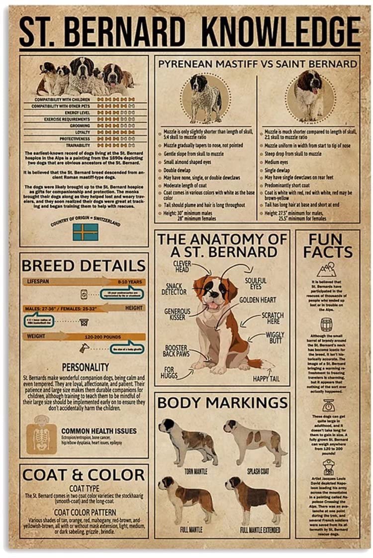 St. Bernard Dog Knowledge Chart - Premium Frameless Canvas Wall Art Print (20x30 Inch) for Living Room & Bedroom Decor | Perfect Gift for Dog Lovers & Pet Owners
