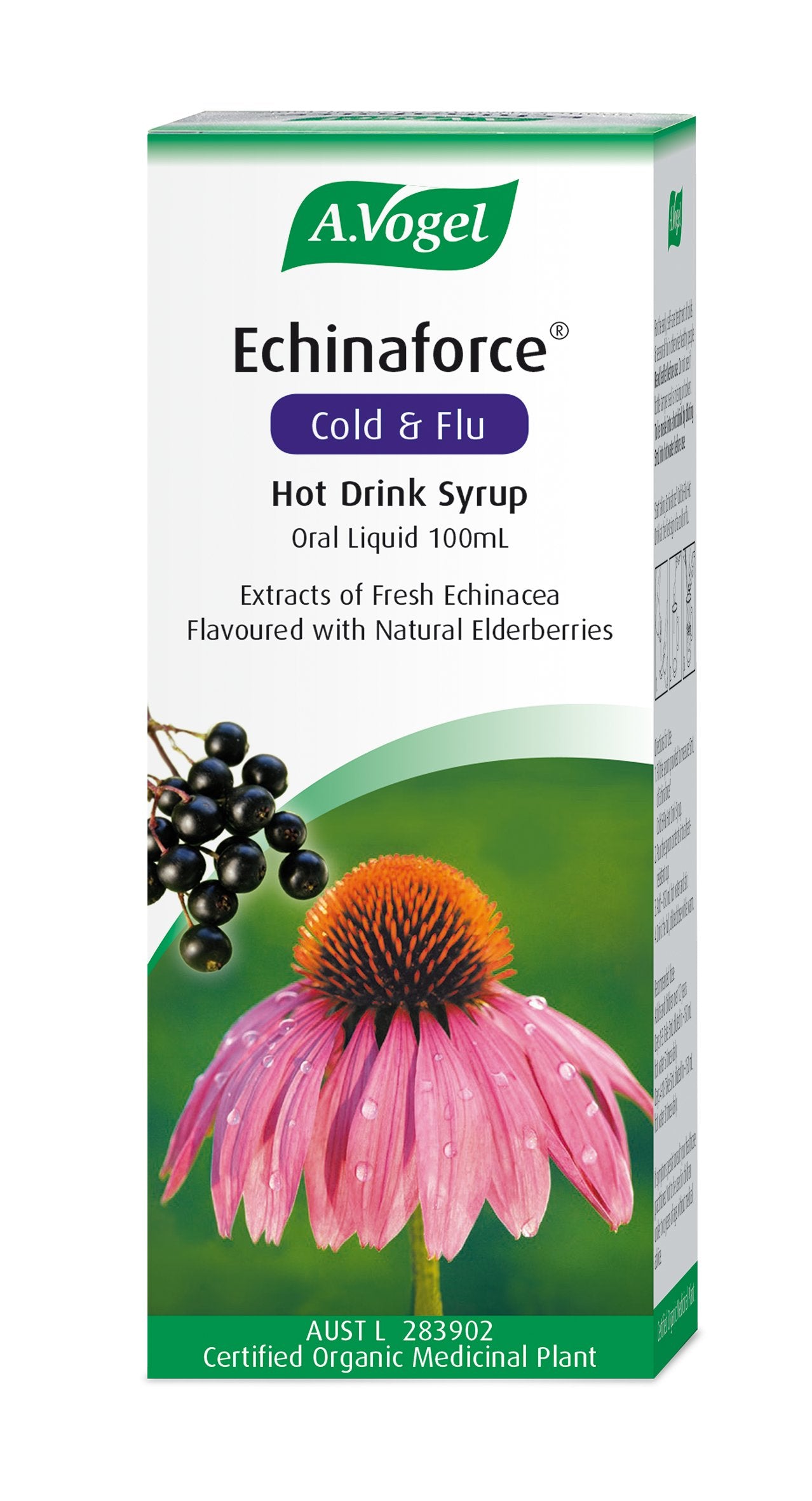 AVOGEL ECHINAFORCE Hot Drink Syrup - Immune Support Supplement with Echinacea - Perfect for Cold & Flu Season Relief